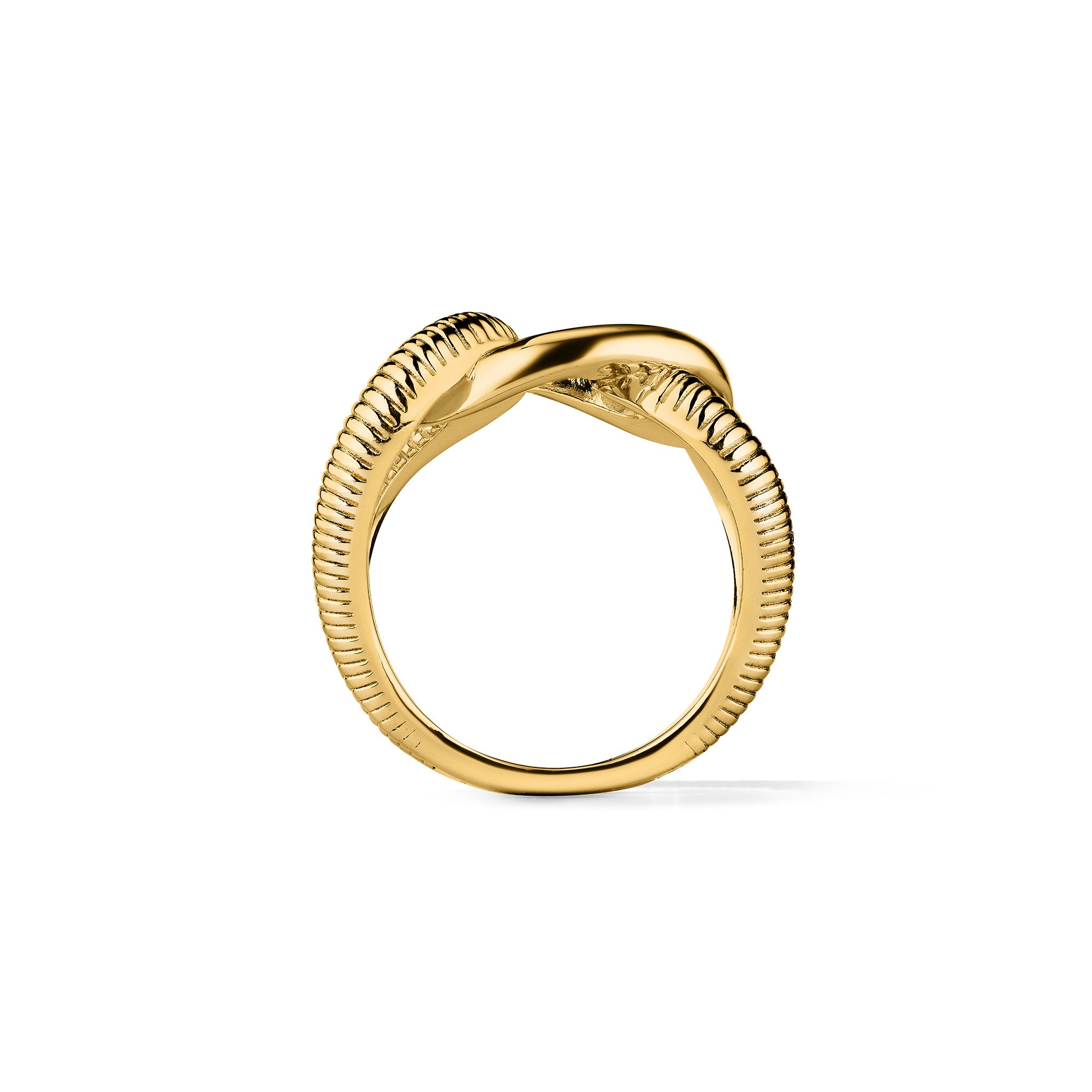 Eternity Interlocking Link Ring in 18K