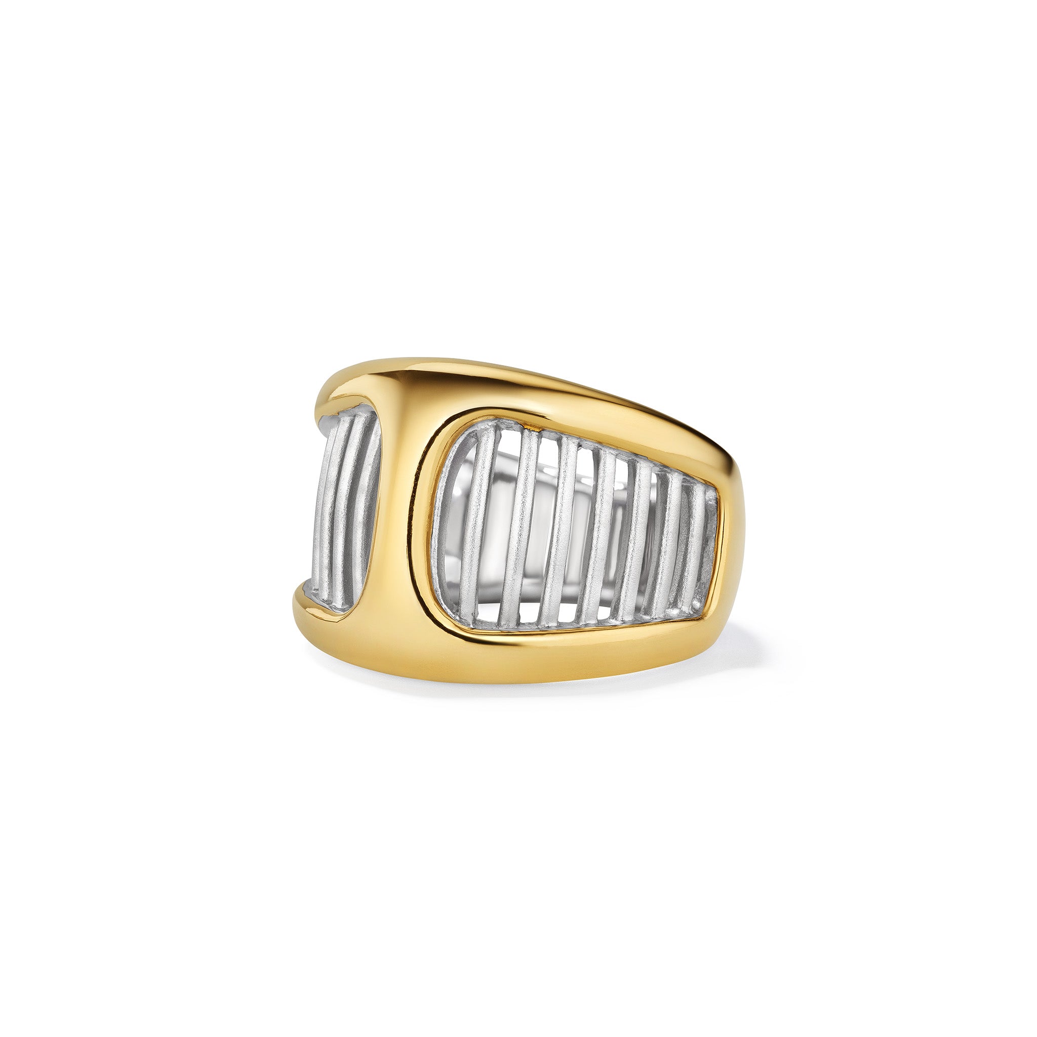 Cielo Wide Band Ring with 18K Gold